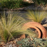 Поливайте ръчно или инсталирайте автоматична система за поливане?...